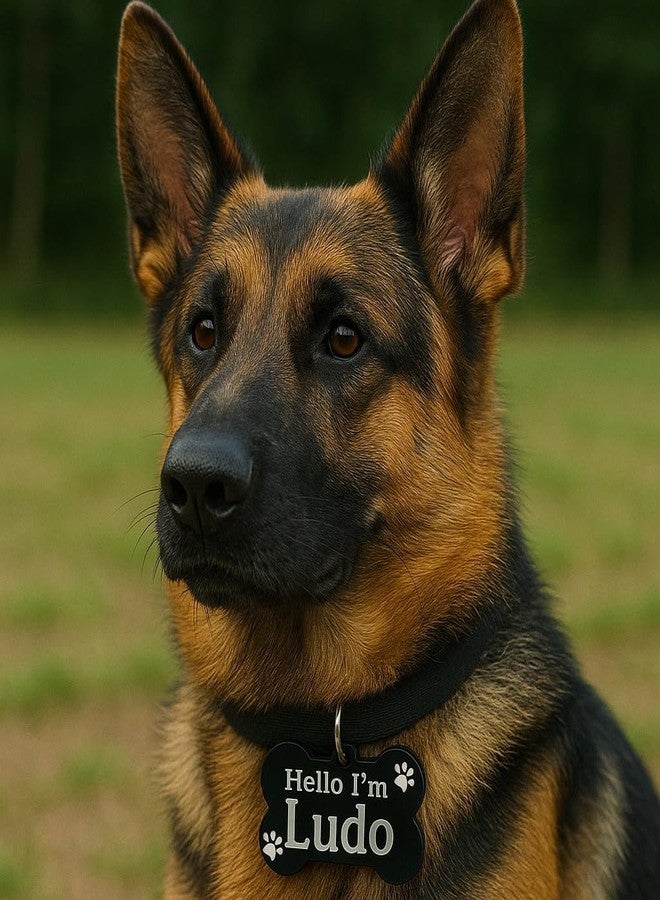 F Studio بطاقة تعريف للحيوانات الأليفة من F Studio، مصنوعة من الأكريليك المقاوم للماء على شكل عظمة، مناسبة لطوق الكلاب والقطط، خفيفة الوزن، مقاومة للصدأ، مع إمكانية نقش بطاقة التعريف (4 × 7 سم). - Image 2